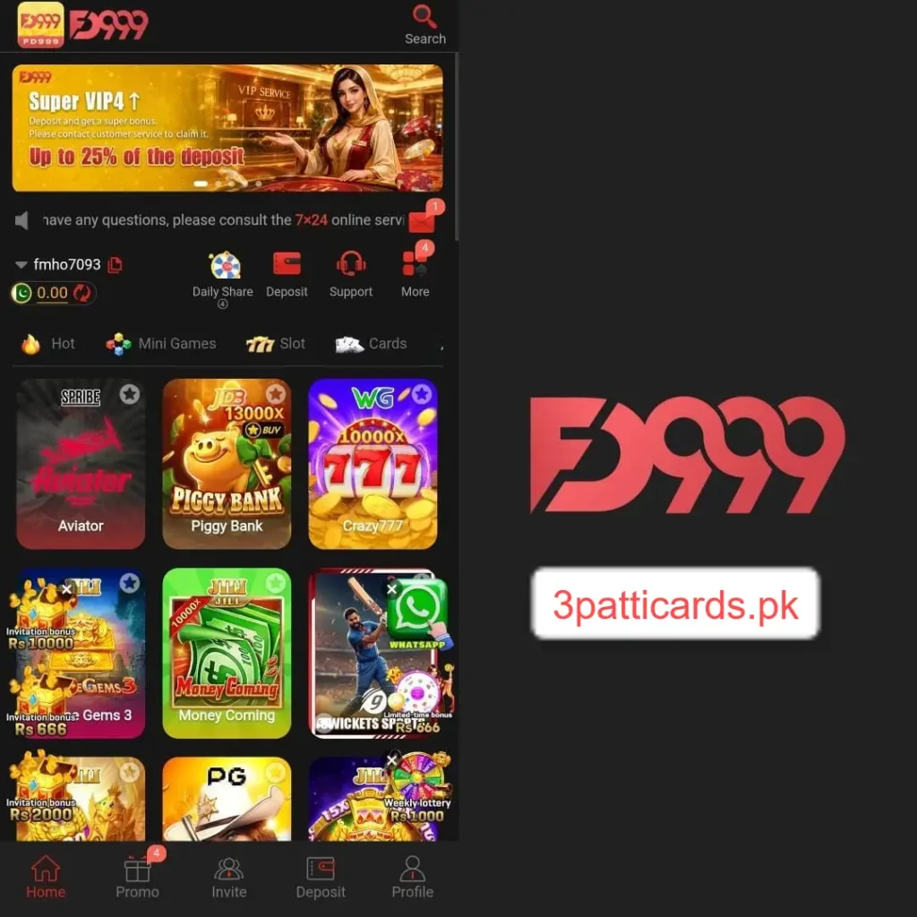 FD999 Game