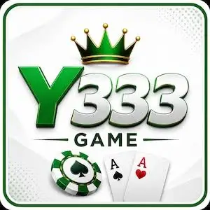 Y333 Game