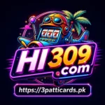HI309 Game